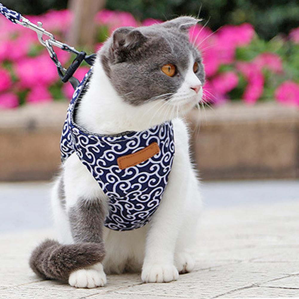 Geschirr für Katze / Hund – Blau, Größe S