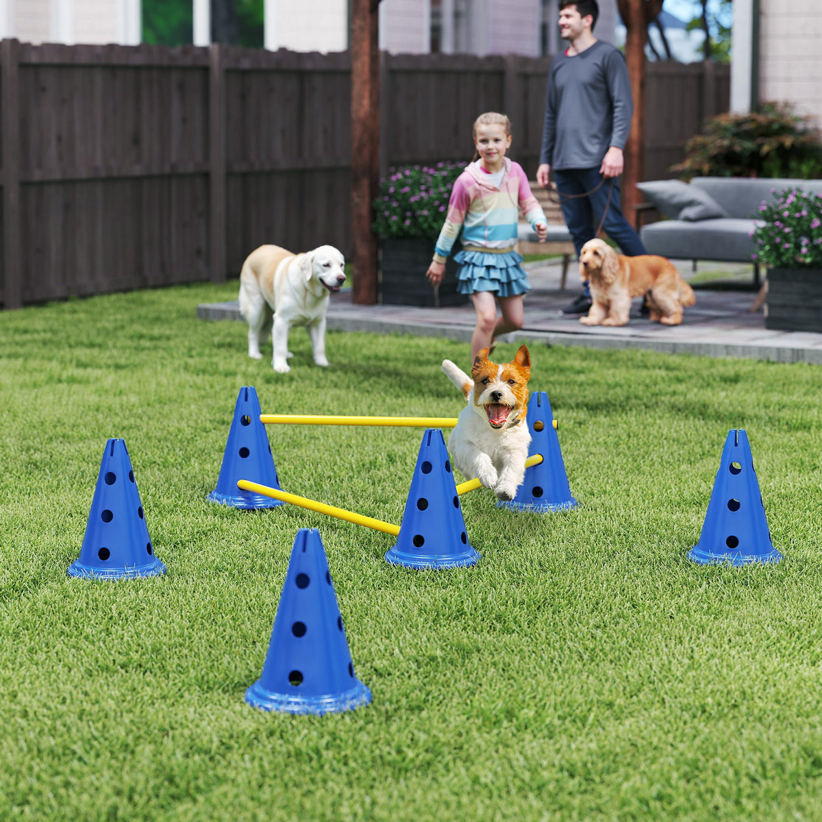3-Piece Dog Agility Training Set: Hurdle Set with 6 Cones, 3 Hurdles, and Carrying Bag (2)