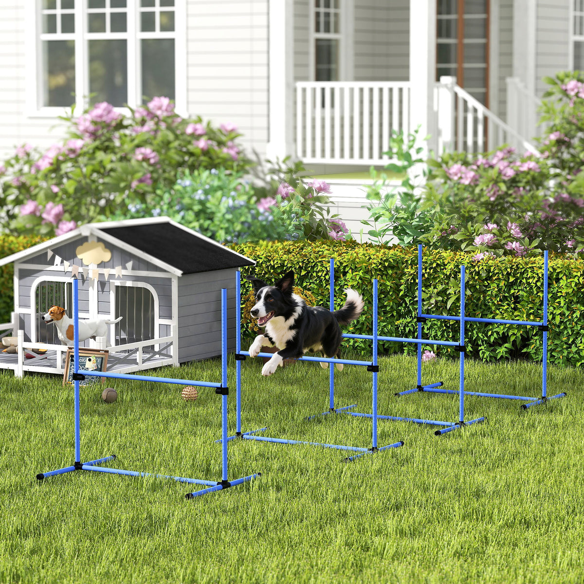 Adjustable Dog Agility Hurdle Set, Agility Training Equipment with 4 Hurdles and Carrying Bag, 104x67 cm, Blue (2)