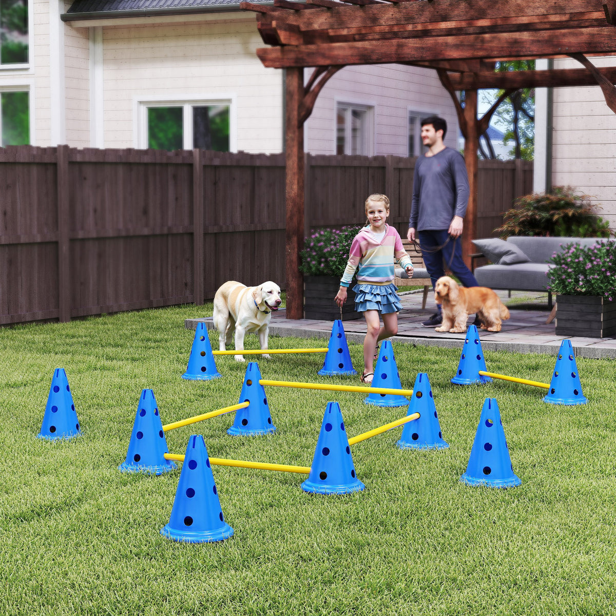 Dog Agility Set, 6-piece agility equipment for dog training, hurdle set with 12 cones, 6 hurdles, and carrying (2)