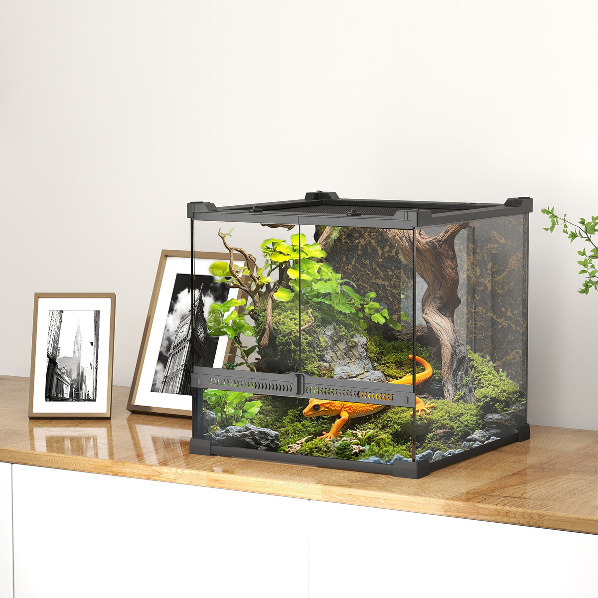 Glass terrarium for reptiles, raised & waterproof base, button lock (2)
