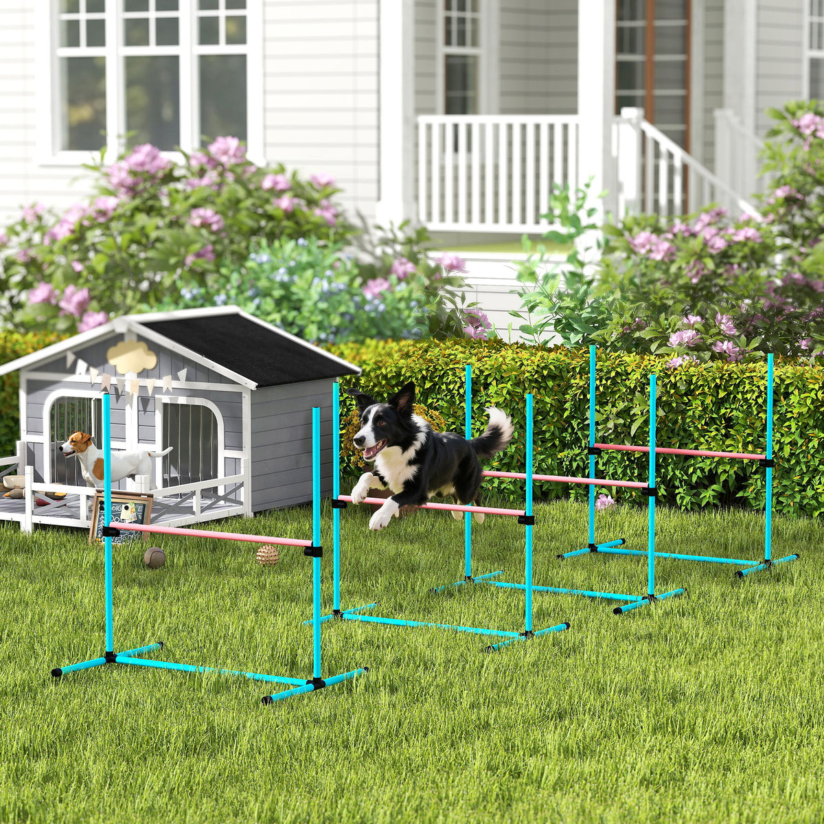 4-Piece Adjustable Dog Agility Set Agility Equipment with 4 Hurdles and Carrying Bag 99 x 65 x 94 cm Light Blue (2)