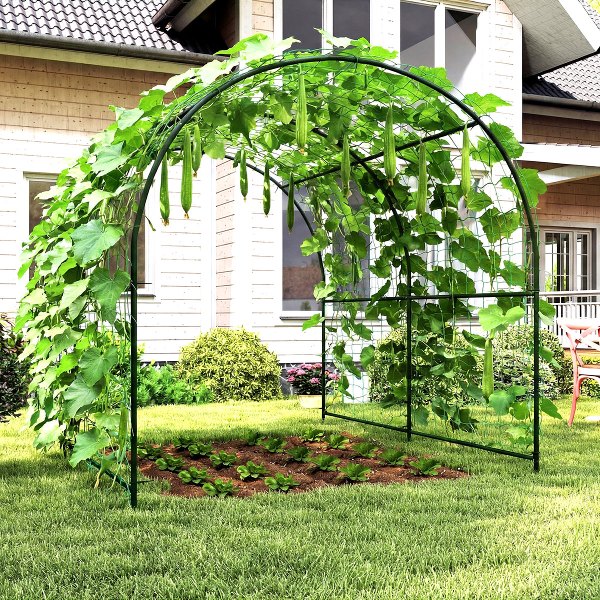 Rust-proof plug-in metal trellis, curved plant support, cucumber espalier, 210 x 250 x 216 cm, dark green (2)
