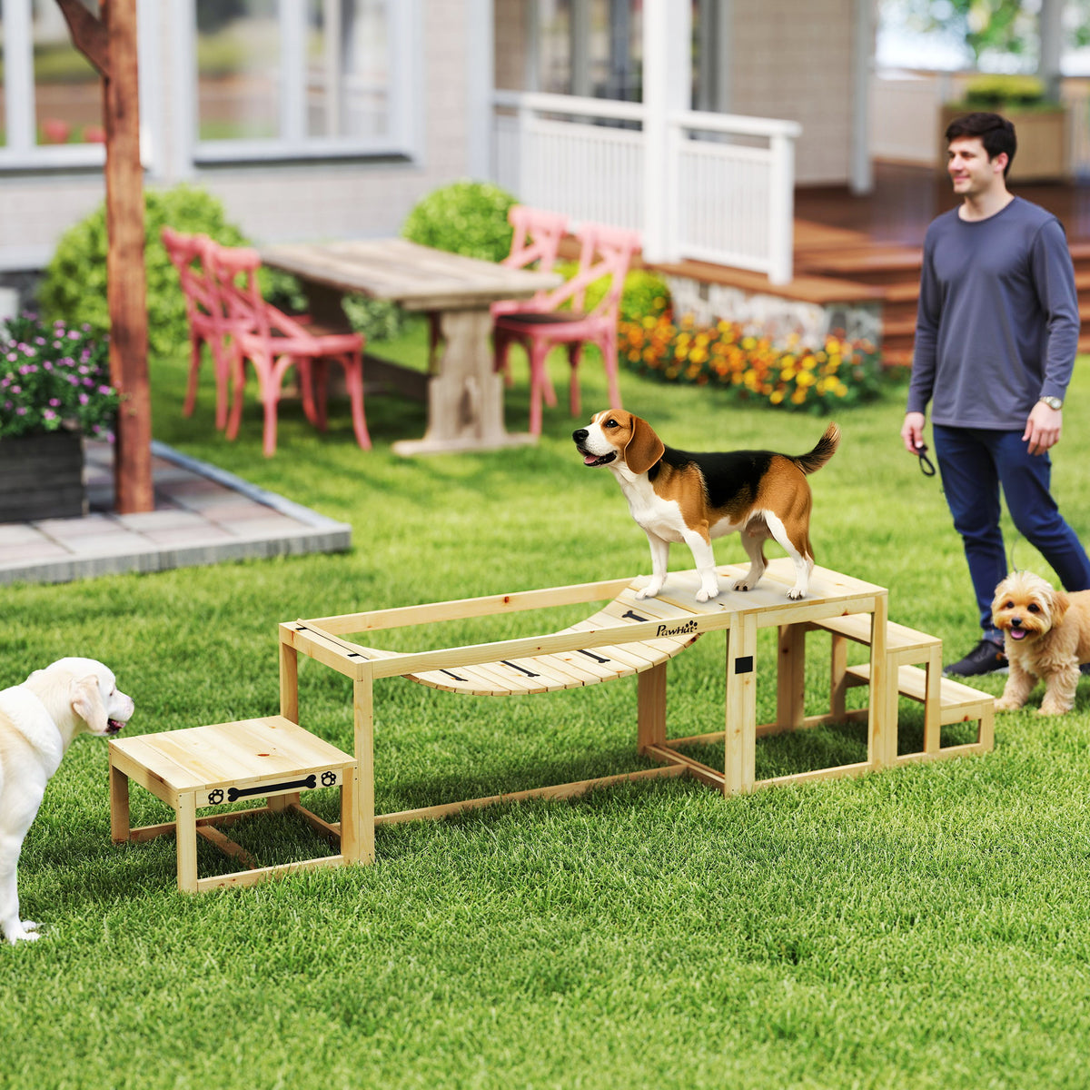 Agility set for dogs, dog training structure with bridge, stairs, platform, fir wood, for large dogs up to 40 kg (2)