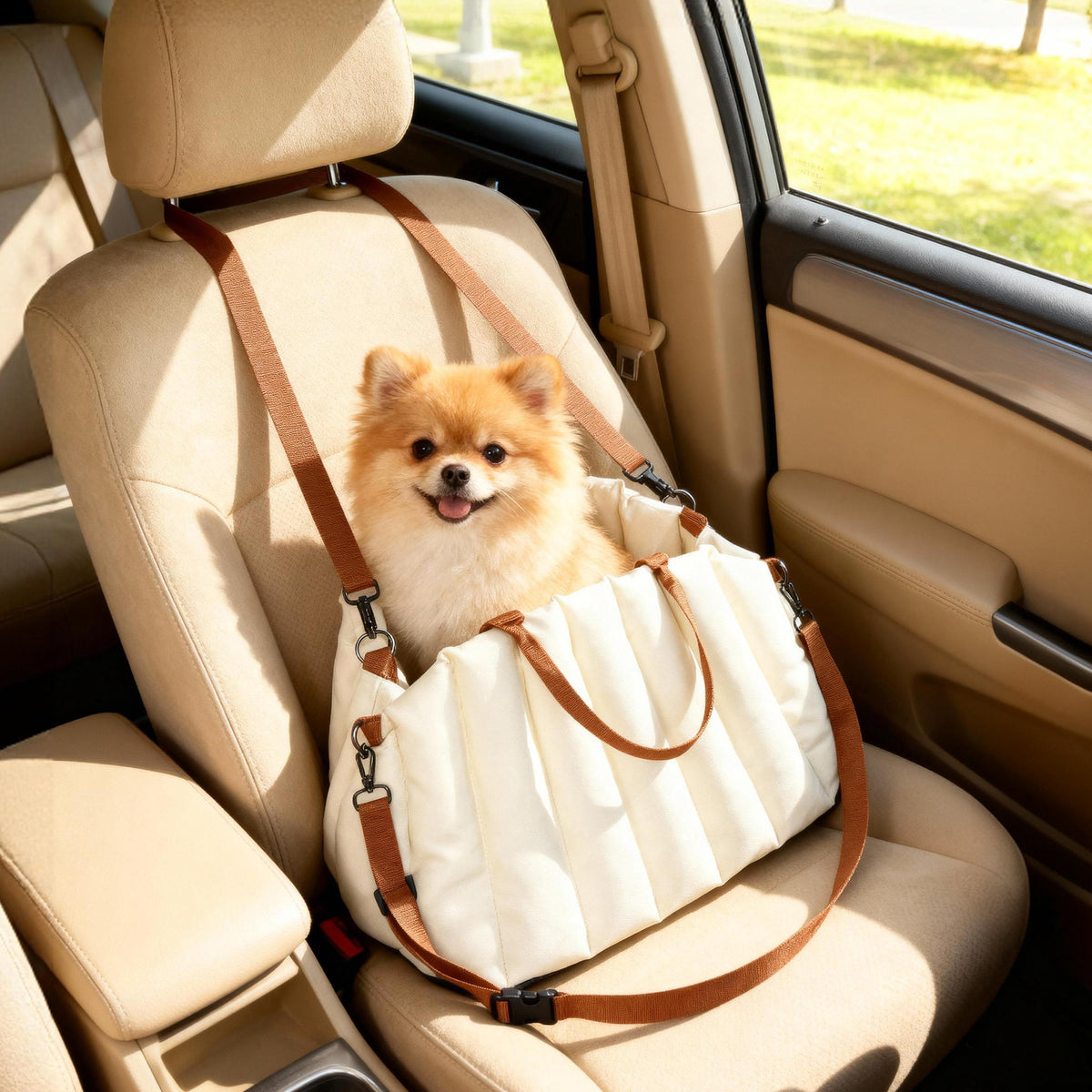 Dog bag, dog carrier for dogs under 5 kg, 2 straps, Oxford fabric, cushion, leash, cream white (2)